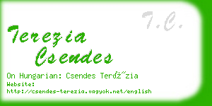 terezia csendes business card